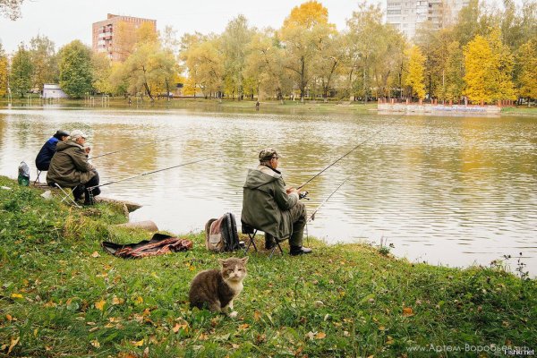 Осенняя рыбалка