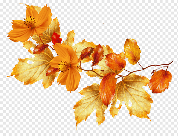 Осенняя веточка