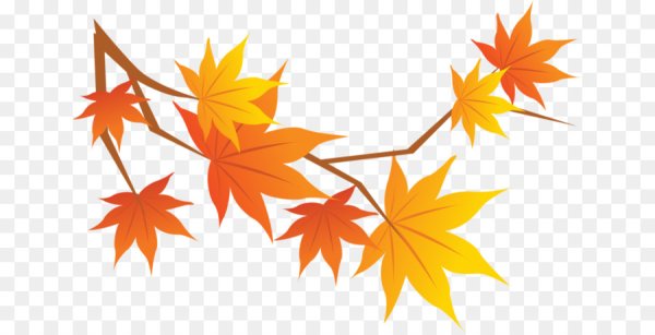 Ветка клена на прозрачном фоне