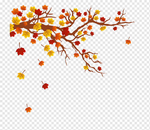 Осенняя ветка дерева на прозрачном фоне