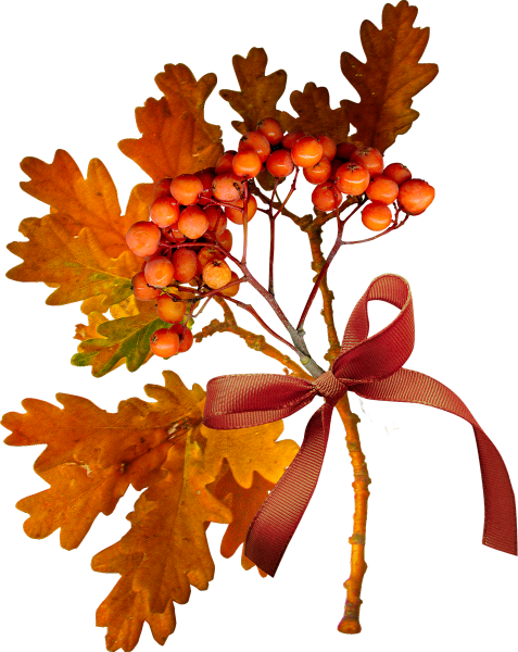 Осенний букетик на прозрачном фоне