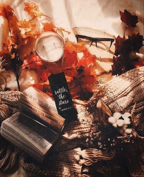 Осень Эстет