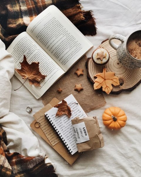 Осенняя Эстетика