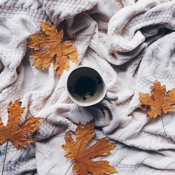 Осенние эстетичные