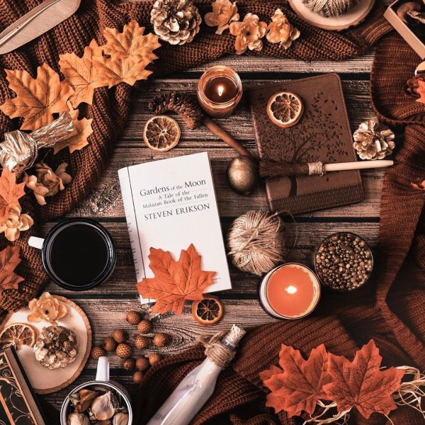 Осень Вдохновение