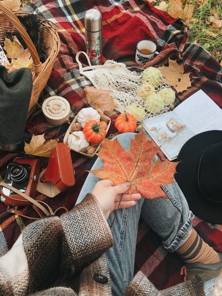 Осень Эстет