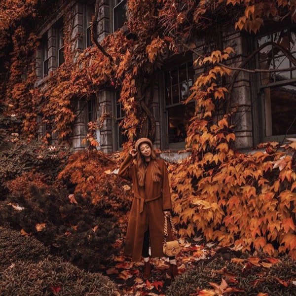 Осень Эстет