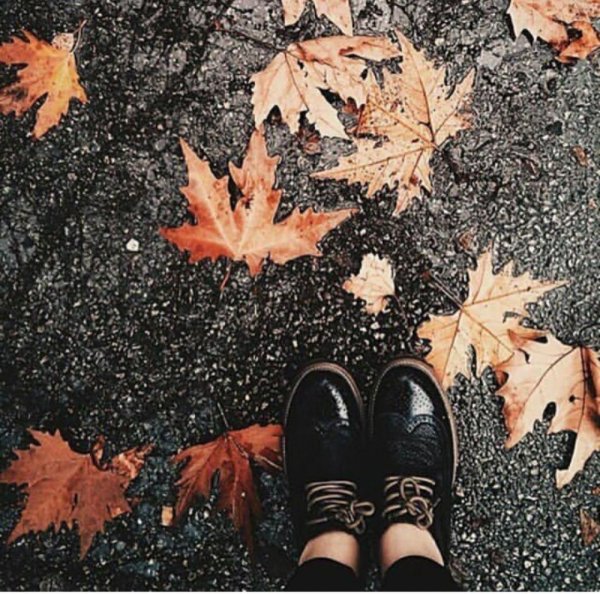 Осень Эстетика люди