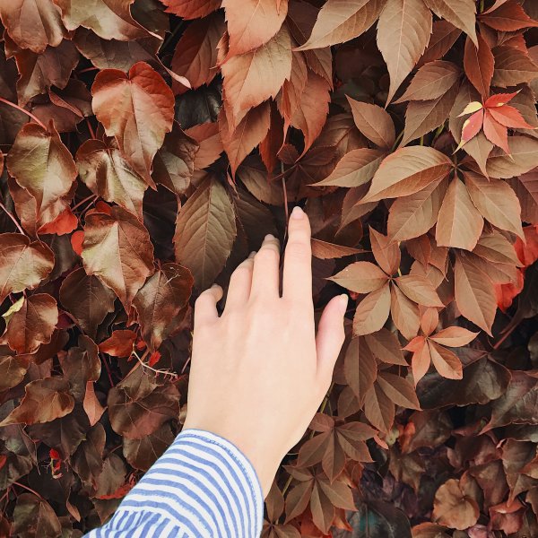 Осенняя Эстетика