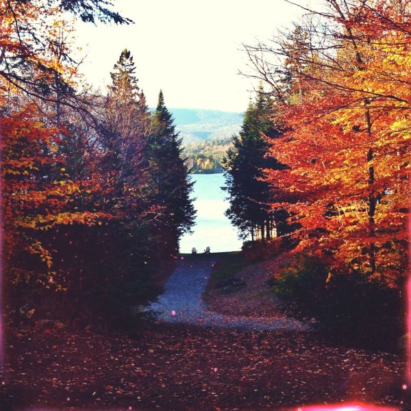 Красивая осень Эстетика