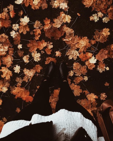 Эстетическая осень