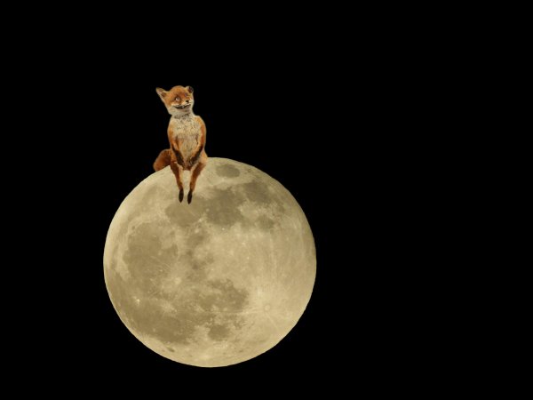 Забавная Луна