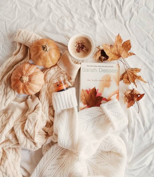 Осень Эстетика