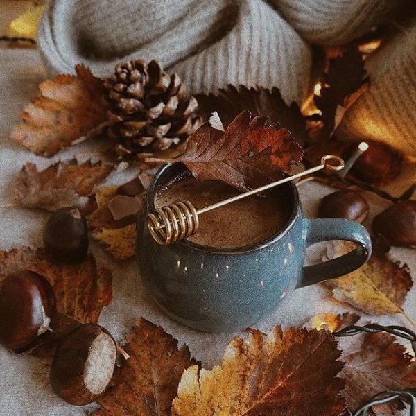 Осень Вдохновение