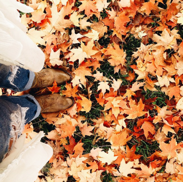 Сентябрь Эстетика