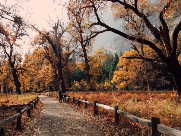 Осенний парк Эстетика