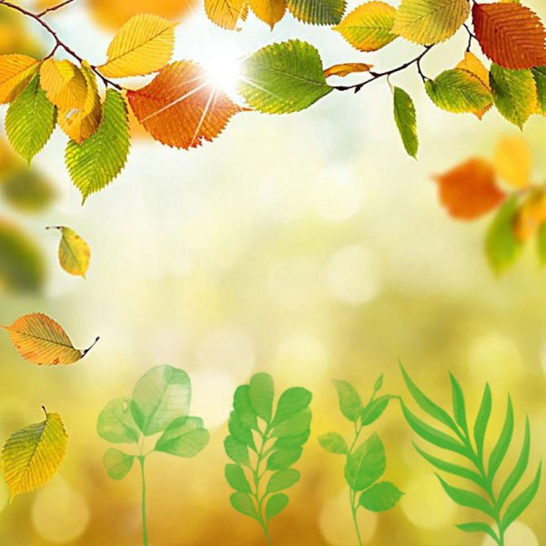 Осеннее утро среды