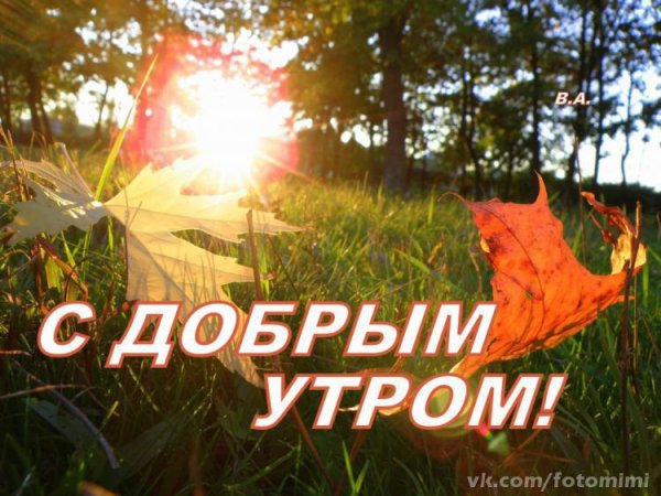 С добрым осенним утром мужчине