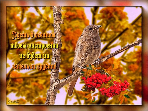 Отличного настроения осень