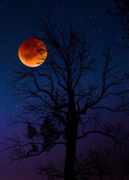 Ночь полнолуние