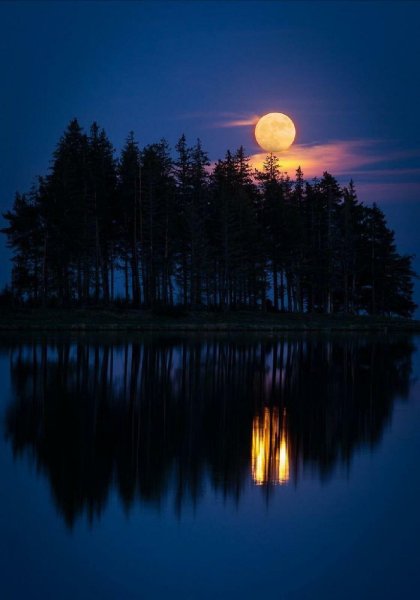 Ночной пейзаж