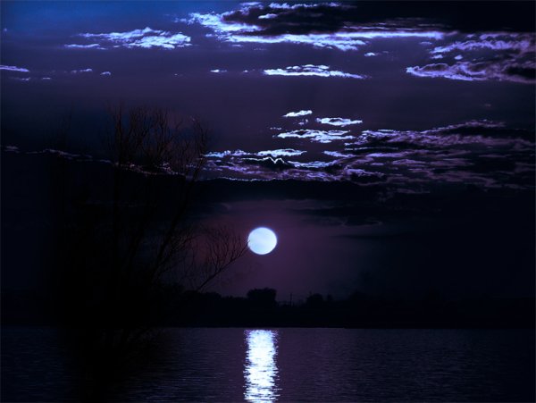 Ночная Гармония