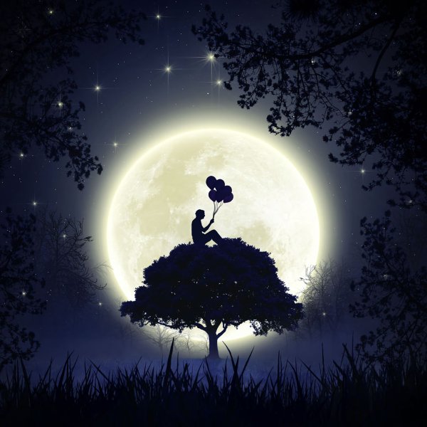 Полнолуние арт