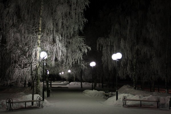 Зимний парк с фонарями