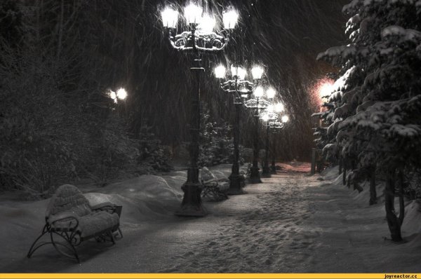 Зимний парк ночью