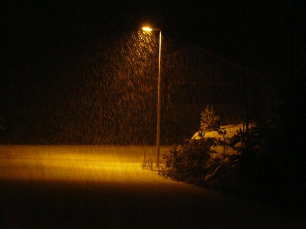 Под светом фонаря