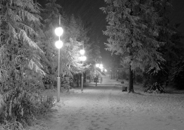 Зимняя ночь в городе