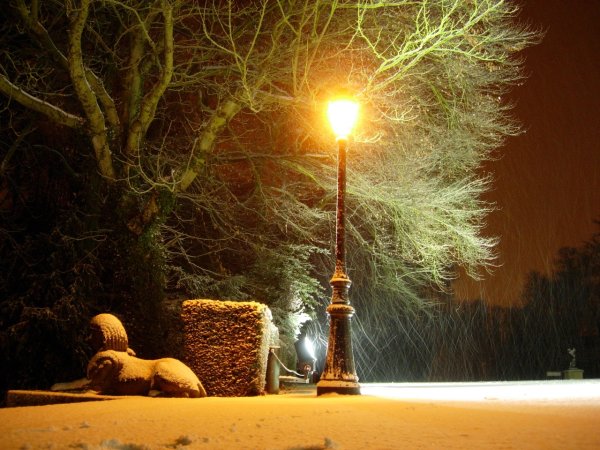 Зимний вечер