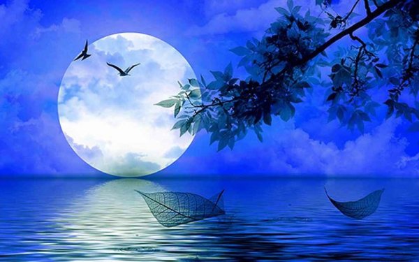 Луна в астрологии