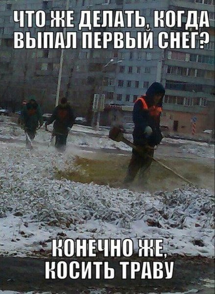 Снег юмор