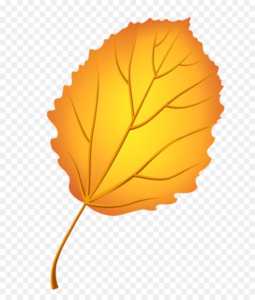 Осенний листок