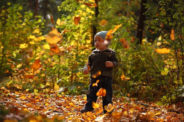 Осень листопад