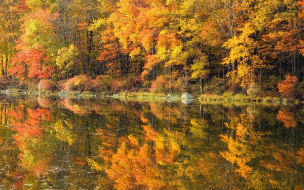 Пейзаж осени