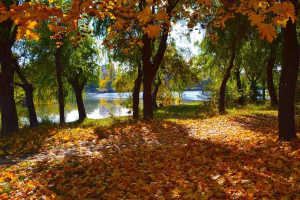 Осенний листопад в парке