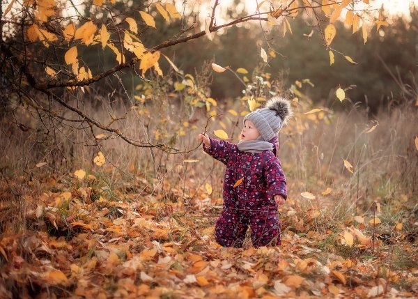 Осень для детей