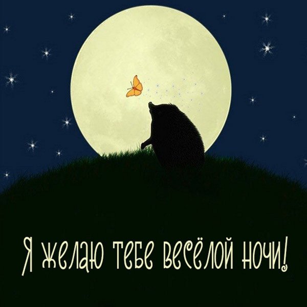 Ежик воет на луну