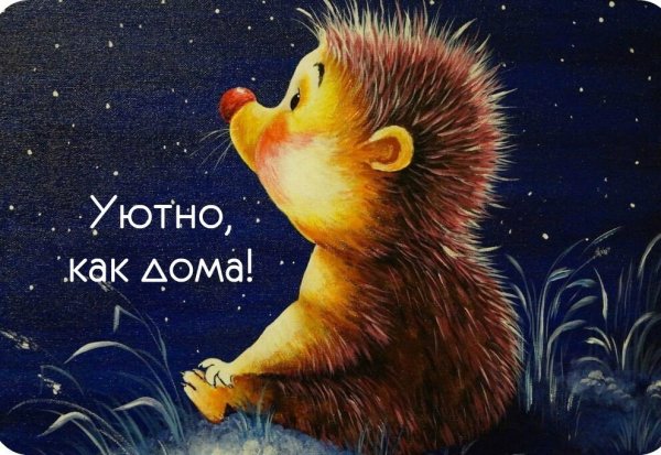 Доброй ночи с ежиком