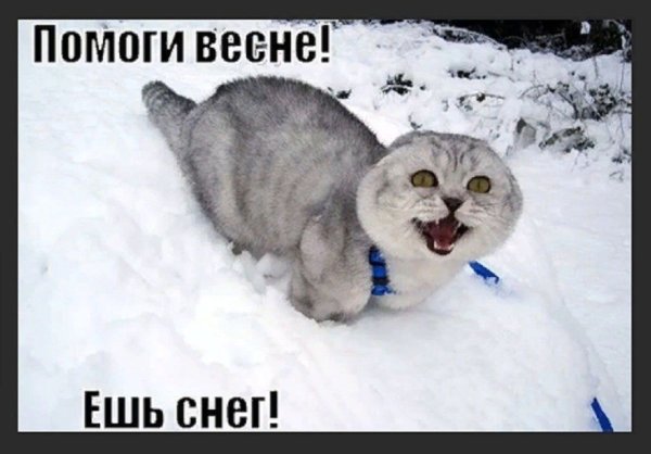 Ешьте снег помогай весне