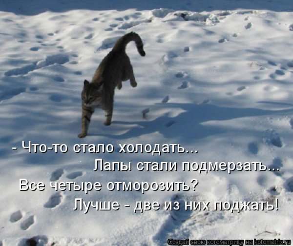 Ну вот и зима пришла