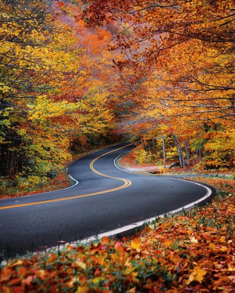 Красивая дорога