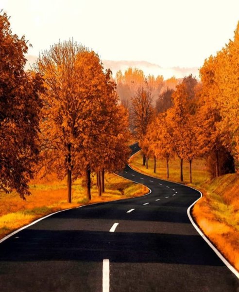 Дорога в осень