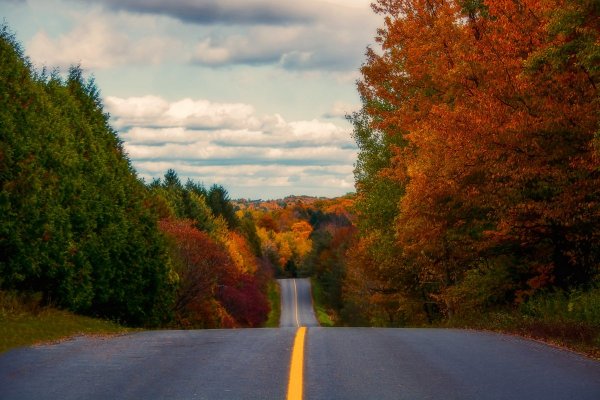 Трасса осенью