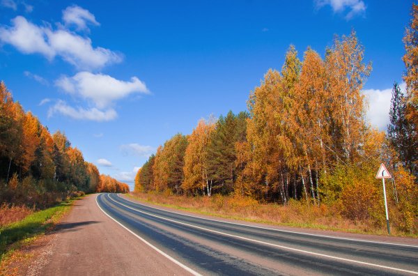 Дорога осенью