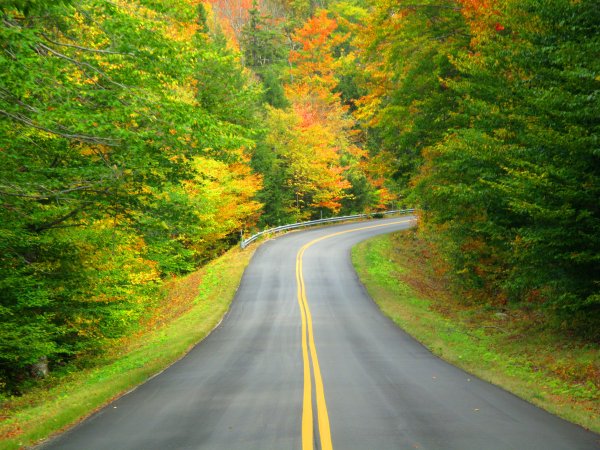 Лето дорога