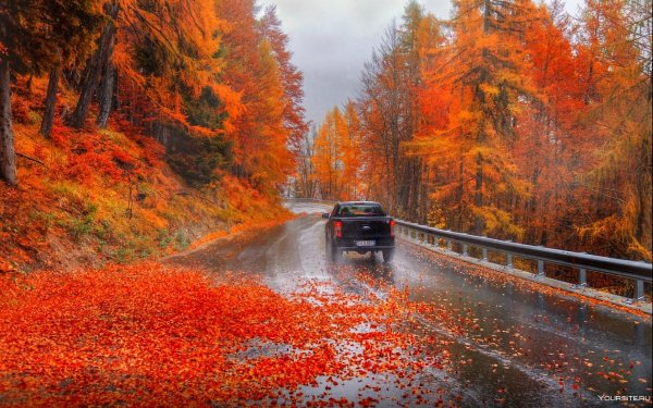 Осенняя дорога