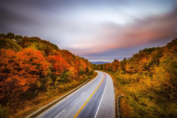 Дорога в осень